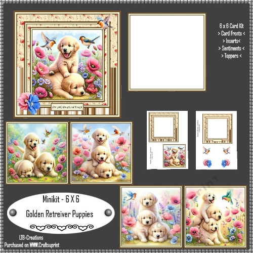 Minikit - Golden Retreiver Puppies 