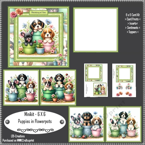 Minikit Puppies in Flowerpots
