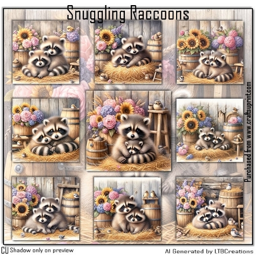 Snuggling Raccoons 
