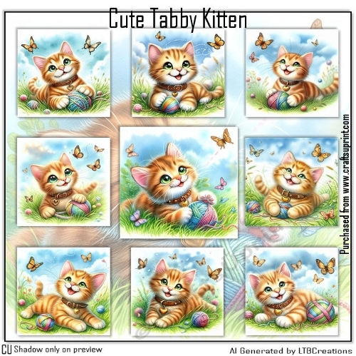 Cute Tabby Kitten