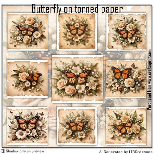 Butterfly on torned paper