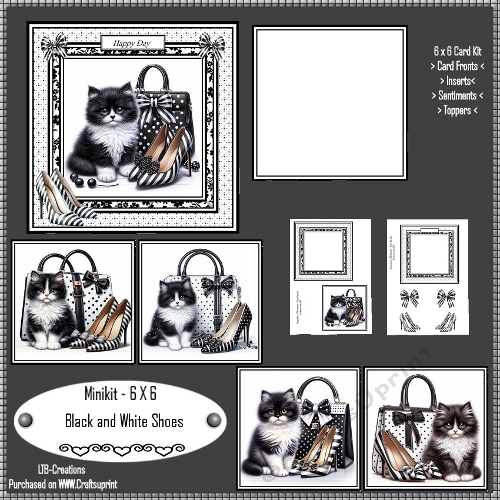 Minikit Black and white Shoes