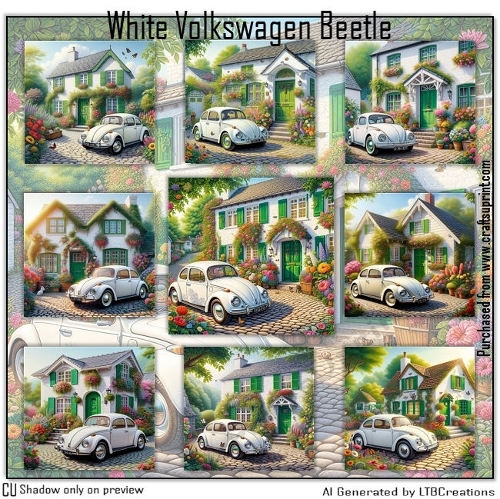 White Volkswagen Beetle