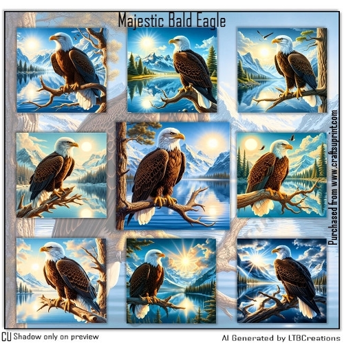 Majestic Bald Eagle