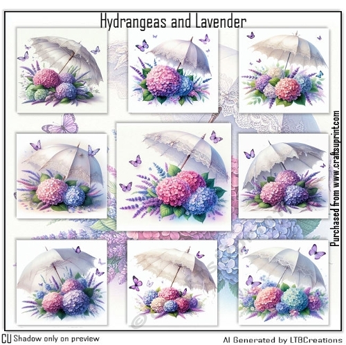  Hydrangeas and Lavender