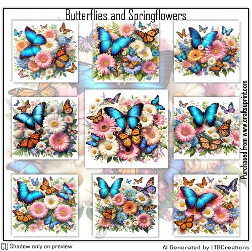 Butterflies and Springflowers
