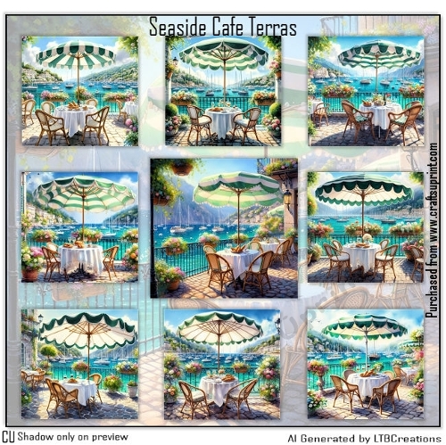 Seaside Cafe Terras