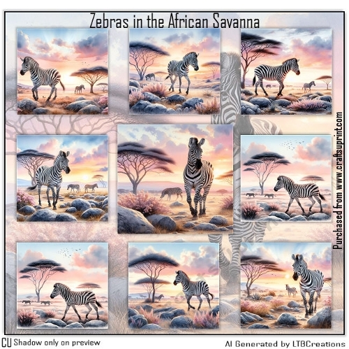 Zebras in African Savanna