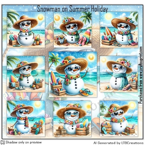 Snowman on Summer Holiday