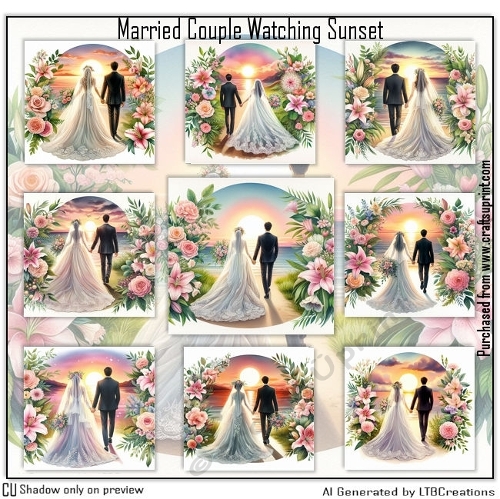 Married Couple Watching Sunset