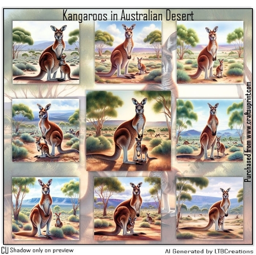 Kangaroos in Australian Desert