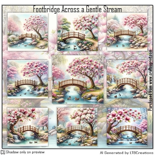 Footbridge Across a Gentle Stream