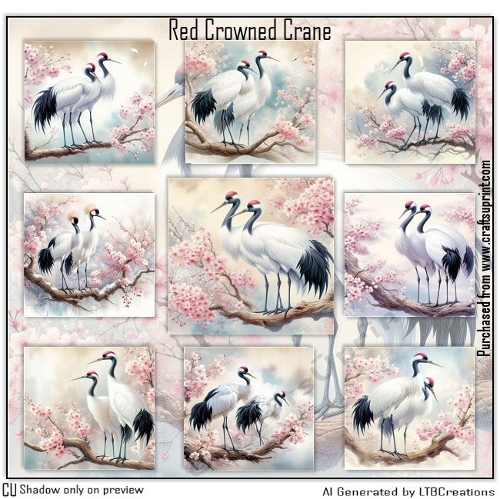Red Crowned Cranes