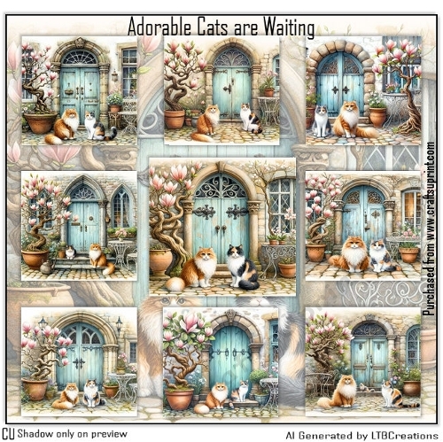 Adorable Cats are Waiting
