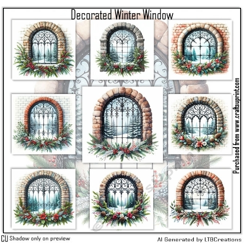 Decorated Winter Window
