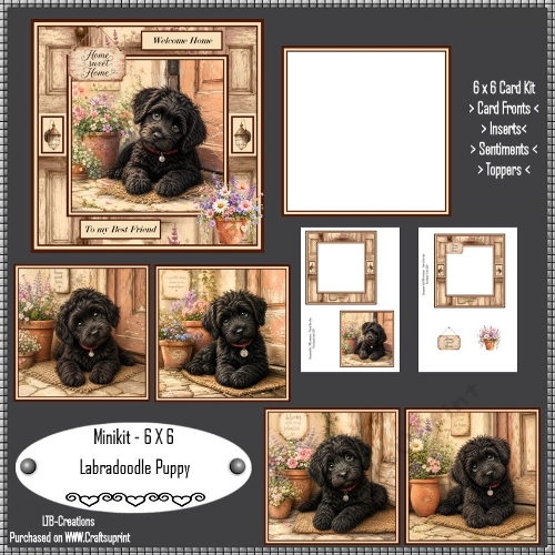 Minikit Labradoodle Puppy