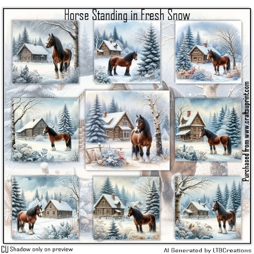 Horse Standing in Fresh Snow