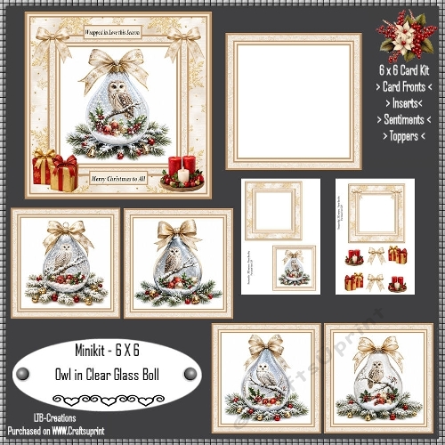 Minikit Owl in Clear Glass Boll