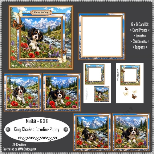 Minikit King Charles Cavelier Puppy