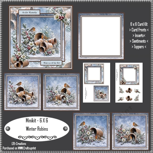 Minikit Winter Robins