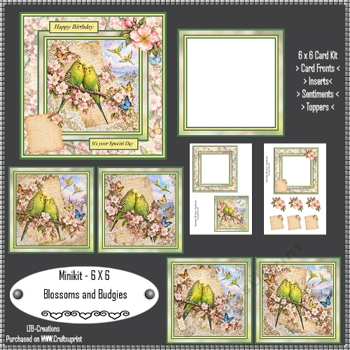 Minikit Blossoms and Budgies