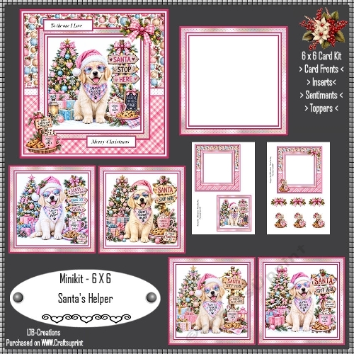 Minikit Santas Helper