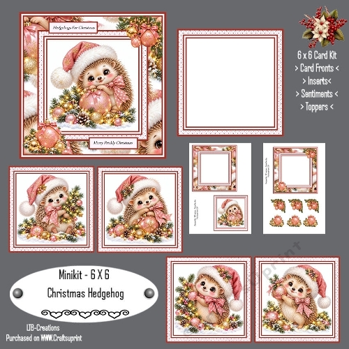 Minikit Christmas Hedgehog