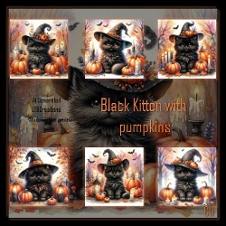 Kitten with Pumpkin