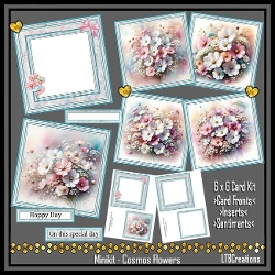 Minikit Cosmos Flowers