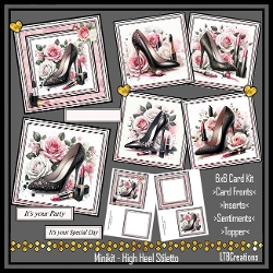 Minikit High Heel Stiletto