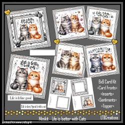 Minikit LIfe is better with Cats
