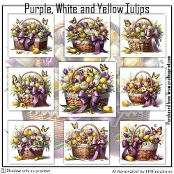 Purple, White and Yellow Tullips