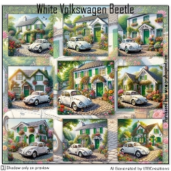 White Volkswagen Beetle