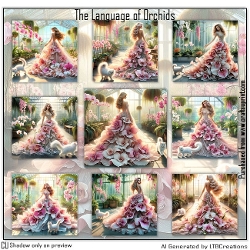 The Language of Orchids
