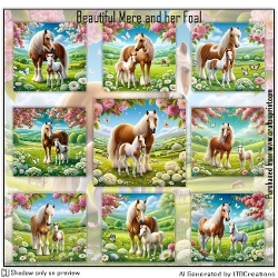 Beautiful Mere and her Foal