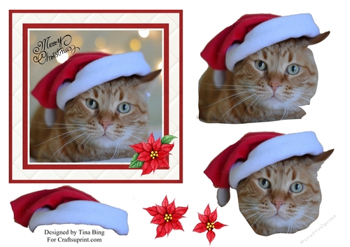 Christmas Cat