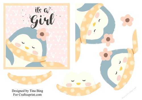 Its a Girl