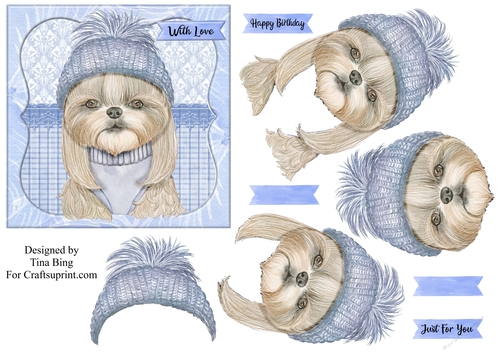 Dog in a hat