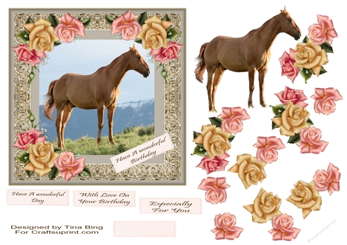 A lone horse