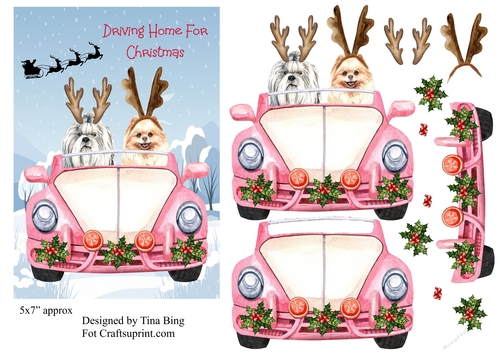 Driving home for Christmas