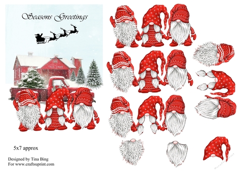 3 Christmas Gnomes 3D