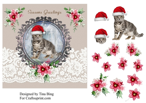 Tabby cat in a Christmas hat