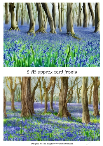 The bluebell woods