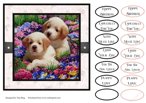 Puppies 2