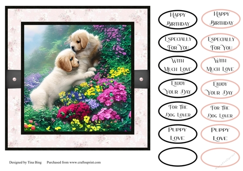 Puppies 5