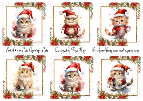 Christmas Cats