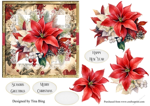 Poinsettia 1