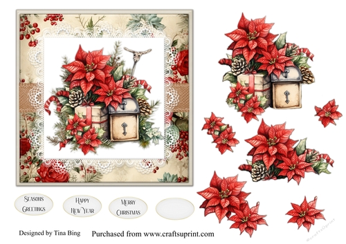 Poinsettia 2