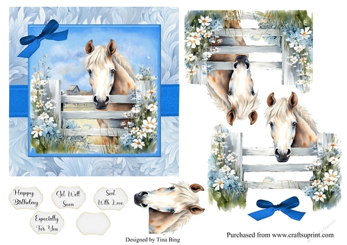 Horse over the fence