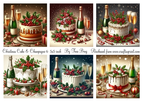 Christmas cake and champagne